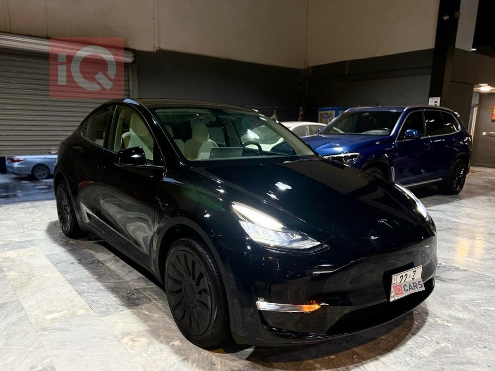 تسلا موديل Y